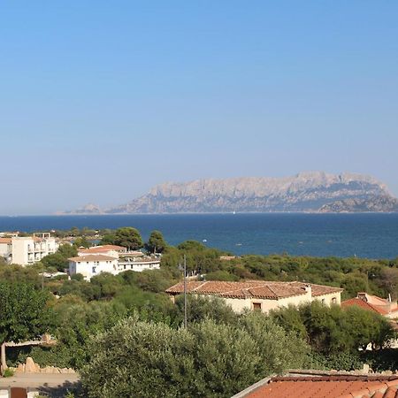 La Conchiglia Villa Olbia Bagian luar foto