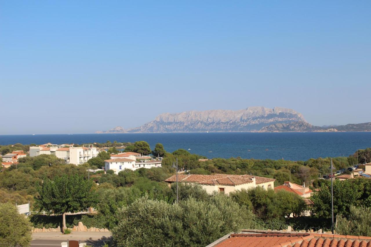 La Conchiglia Villa Olbia Bagian luar foto