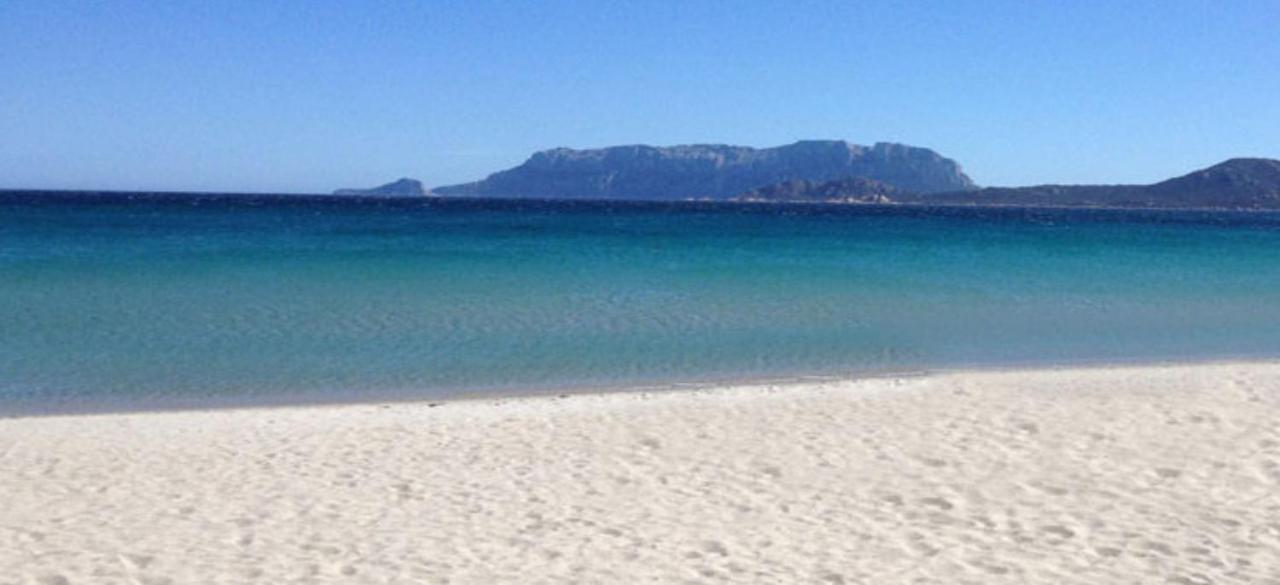 La Conchiglia Villa Olbia Bagian luar foto